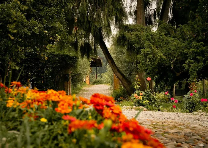 Podere Nigriano Farm stay *