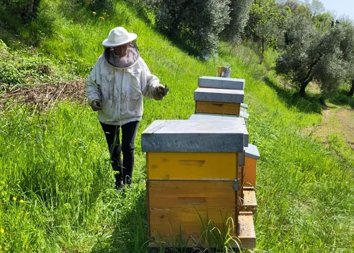 Farm stay Podere Nigriano *