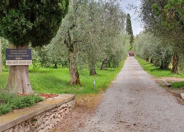 Podere Nigriano Farm stay Salo